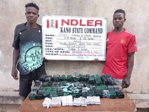 NDLEA Busts drug kingpins