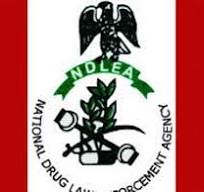 NDLEA- WADA