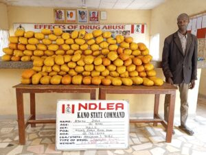 Turkey-Bound Trafficker Expels 120 Cocaine Wraps at Kano Airport 12 Adamu Idris NDLEA Bust