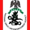 NDLEA seizes 1,455kg cannabis in Edo