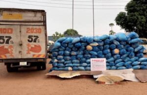 Turkey-Bound Trafficker Expels 120 Cocaine Wraps at Kano Airport 10 NDLEA bust