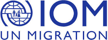 Nigerians Abroad hit 2.1 Million, Remit $21bn — IOM Report
