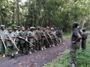 Tinubu Approves Armed Forest Guards to Secure Nigeria’s Forests