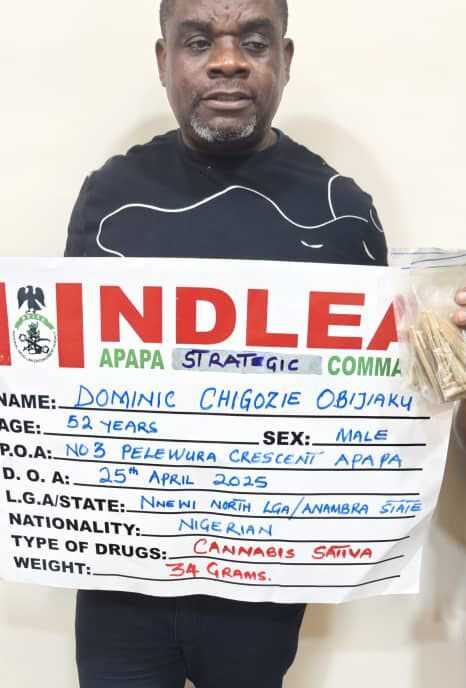 NDLEA Seizes N3.4bn in Opioids, Explosives, and Cannabis in Nationwide Crackdown