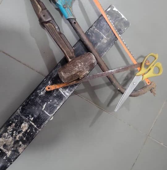Lagos Police Arrest Suspected Vandals