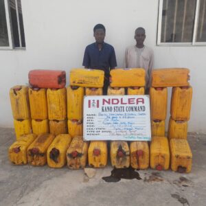 NDLEA Busts Iran-Bound Cocaine Mule, Seizes Tons of Drugs Across Nigeria