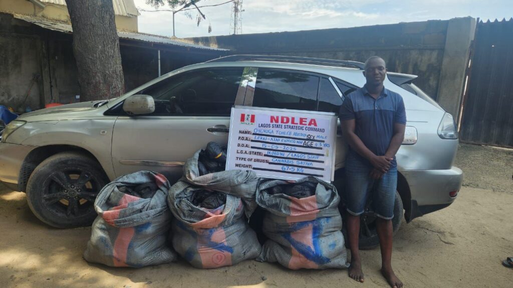 Octogenarians, Students, and Smugglers: NDLEA Busts N3.2bn Drug Syndicates Across Nigeria in Nationwide Raids 3 NDLEA Intensifies Nationwide Crackdown: Intercepts Cocaine Shipment, Large Cannabis Hauls, and AK-47 in Maize Sack