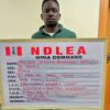 NDLEA Seizes ₦6.5Bn Opioids, Arrests British Nationals in Major Drug Crackdown