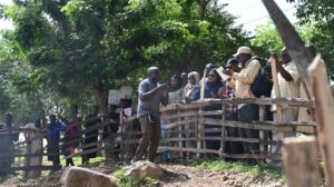Livestock Value Chain Actors Set to Tap Into $2.5bn FDI with Capacity Development from NIRSAL 3 Livestock Value Chain Actors Set to Tap Into $2.5bn FDI with Capacity Development from NIRSAL