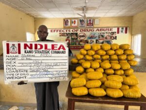 NDLEA Uncovers 2.2kg Cocaine at Lagos Airport, Raids Across 7 States Yield Massive Drug Seizures 3 NDLEA Uncovers 2.2kg Cocaine at Lagos Airport, Raids Across 7 States Yield Massive Drug Seizures