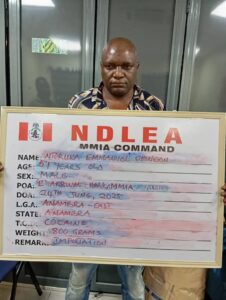 Ex-Intl. Footballer, Multiple Suspects Nabbed in Major NDLEA Drug Busts at Nigerian Airports and Borders