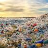 Much Ado About Single-Use Plastic
