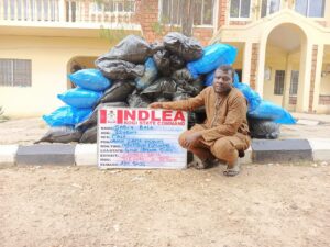 NDLEA Seizes Drugs Hidden in Microwaves, Lipsticks; Arrests Kingpin, Destroys 28,000kg Cannabis in Nationwide Raids