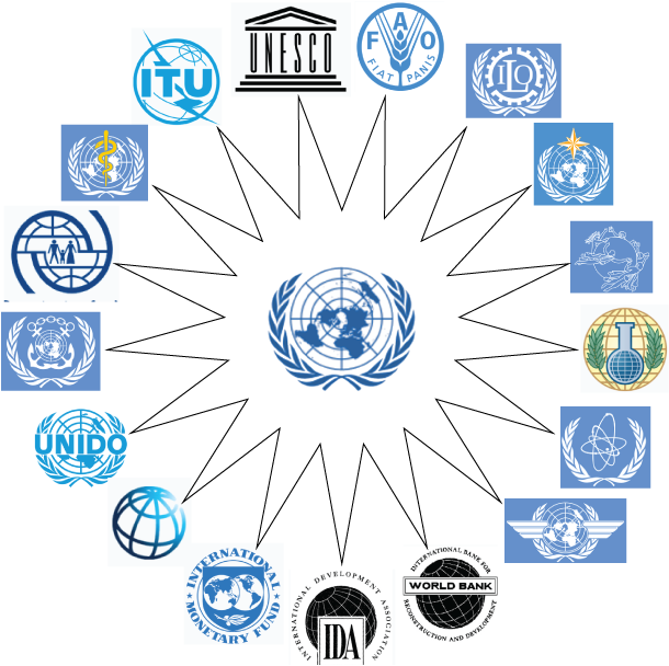 UN Agencies Advocate Strategic Investment in Nigeria’s MSMEs to Accelerate Inclusive Economic Growth