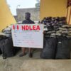 NDLEA Intercepts UK, Saudi-Bound Cocaine Concealed in Lipsticks, Property Documents; Busts Major Drug Syndicates