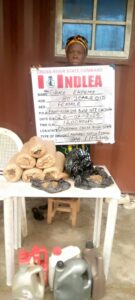 NDLEA Makes Shocking Arrests: Chinese Man, 80-Year-Old Grandma, Others Busted in Major Drug Sting