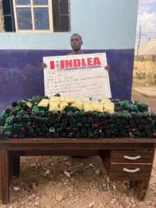75-Year-Old Grandpa Arrested as NDLEA Destroys 178,000kg Skunk in Taraba Forest, Recovers ₦7.9m Cash