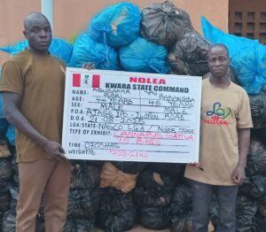 NDLEA Executes Major Drug Seizures, Farm Destructions, and Nationwide Anti-Drug Campaigns