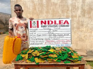 NDLEA Executes Major Drug Seizures, Farm Destructions, and Nationwide Anti-Drug Campaigns