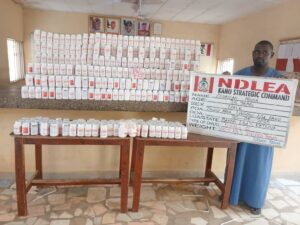75-Year-Old Grandpa Arrested as NDLEA Destroys 178,000kg Skunk in Taraba Forest, Recovers ₦7.9m Cash