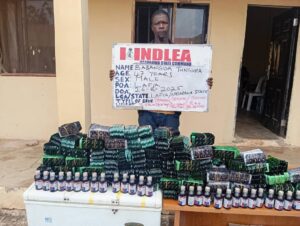 75-Year-Old Grandpa Arrested as NDLEA Destroys 178,000kg Skunk in Taraba Forest, Recovers ₦7.9m Cash