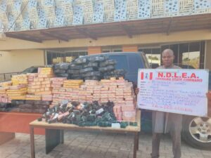 NDLEA Executes Major Drug Seizures, Farm Destructions, and Nationwide Anti-Drug Campaigns
