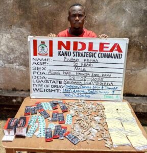 75-Year-Old Grandpa Arrested as NDLEA Destroys 178,000kg Skunk in Taraba Forest, Recovers ₦7.9m Cash