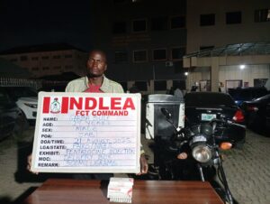 NDLEA Executes Major Drug Seizures, Farm Destructions, and Nationwide Anti-Drug Campaigns