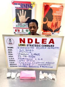 NDLEA arrests widow smuggling cocaine