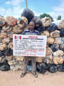 NDLEA Executes Major Drug Seizures, Farm Destructions, and Nationwide Anti-Drug Campaigns