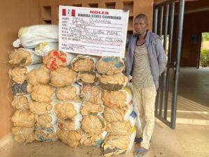 NDLEA Executes Major Drug Seizures, Farm Destructions, and Nationwide Anti-Drug Campaigns