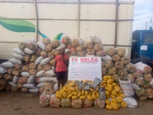 Two Drug Kingpins Emami, Akpomuai Convicted, Sentenced to 10 Years Imprisonment