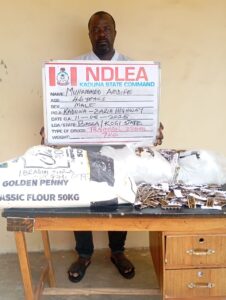 NDLEA Bust