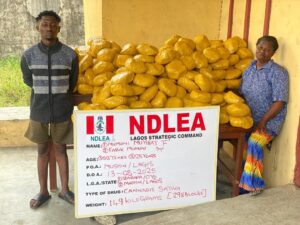 NDLEA arrests Notorious Drug Kingpin in Delta, Intercepts N7.8bn Opioids in Rivers
