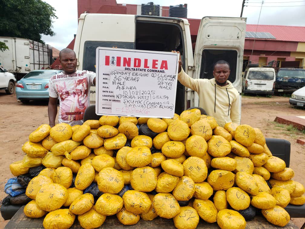 NDLEA arrests Notorious Drug Kingpin in Delta, Intercepts N7.8bn Opioids in Rivers