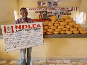 NDLEA Bust