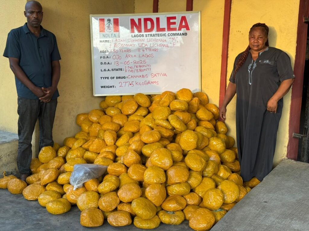 NDLEA Secures Major Convictions, Multi-Billion Naira Assets Forfeitures in Nationwide Drug Crackdown