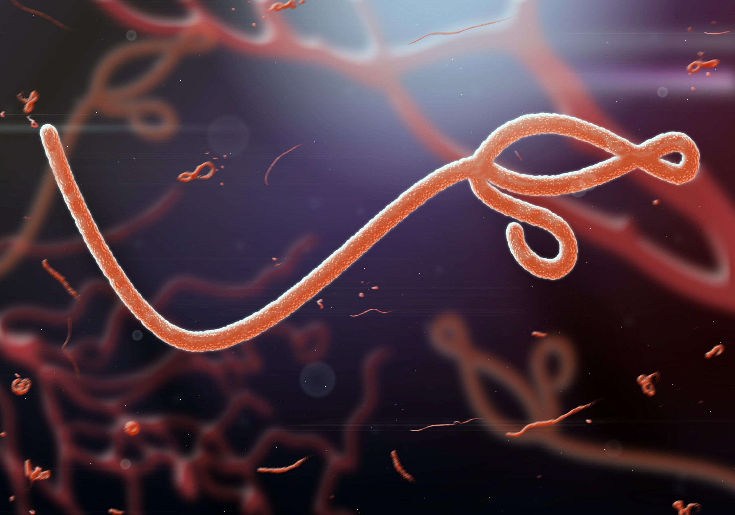 Fresh Ebola Outbreak: FG Tightens Border Control