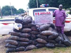 NDLEA Dismantles International Drug Syndicate, Seizes N6.4bn in Multi-State Raids