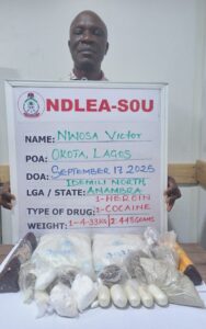 NDLEA Busts Lagos Drug Lords, Foils Terror Supplies, Destroys 24,000kg Cannabis