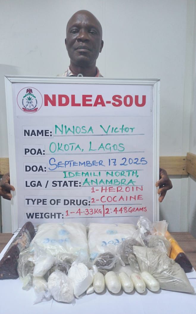 NDLEA Busts Lagos Drug Lords, Foils Terror Supplies, Destroys 24,000kg Cannabis