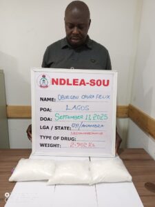NDLEA Busts Lagos Drug Lords, Foils Terror Supplies, Destroys 24,000kg Cannabis