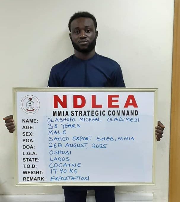 NDLEA Dismantles International Drug Syndicate, Seizes N6.4bn in Multi-State Raids