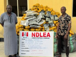 NDLEA Dismantles International Drug Syndicate, Seizes N6.4bn in Multi-State Raids