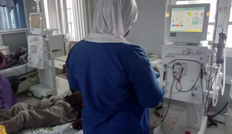 Diaspora Councillor to Establish Free Dialysis Centre in Nigeria 2 Diaspora Councillor Hillaria Asumu to Establish Free Dialysis Centre in Nigeria