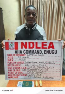 NDLEA Records Major Seizures of Skunk, Tramadol, and Ammunition Across States