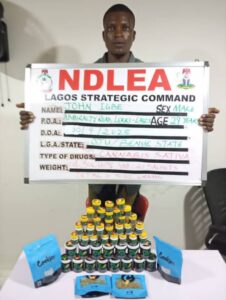 NDLEA Launches Nationwide Raids, Seizes Drugs and Arrests Traffickers