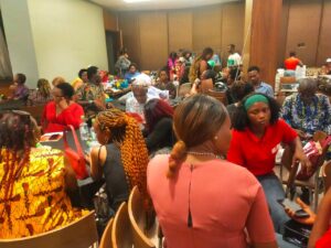 BSFAA 2025 Highlights Nigeria’s Thriving Business and Innovation Potential