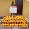 NDLEA Intercepts US, UK, DRC-Bound Drugs Hidden in Snails, Bulbs, Tyres
