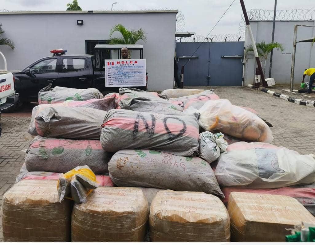 NDLEA Arrests Wanted Kingpin, Recovers 14,440kg Drugs in Nationwide Raids